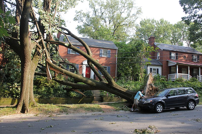 Derecho storm leaves Iowa without power