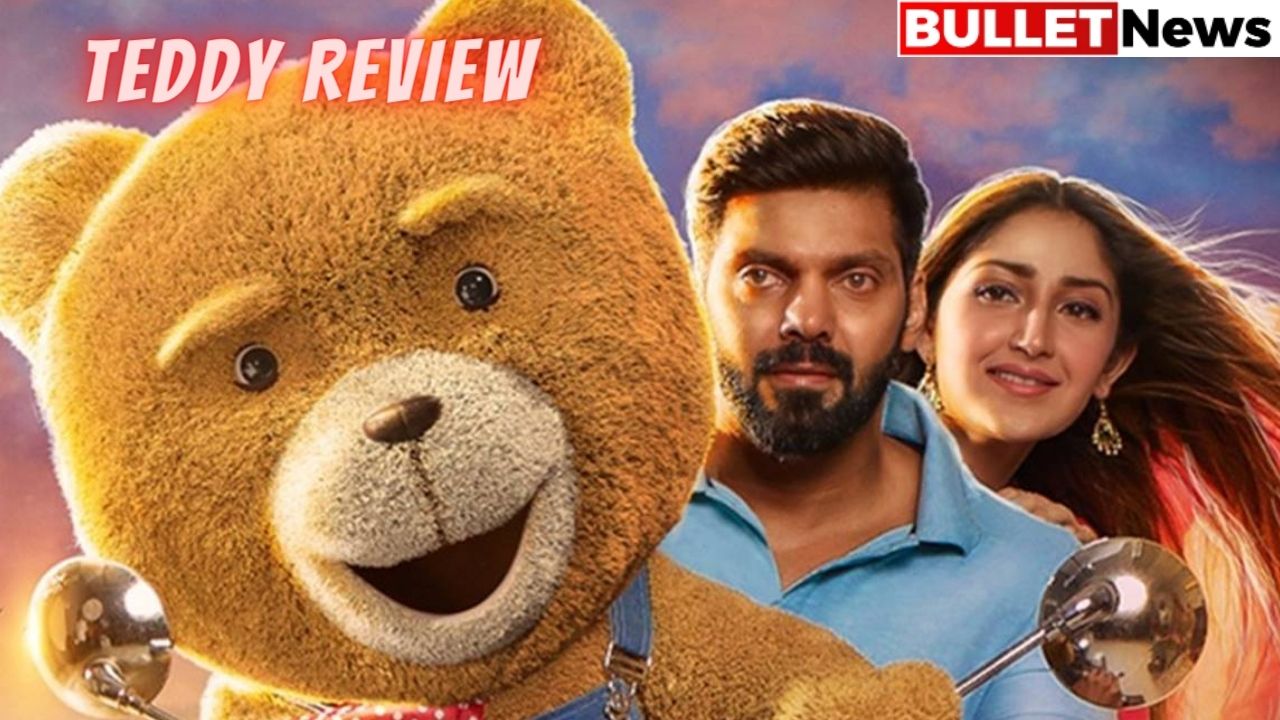 teddy review