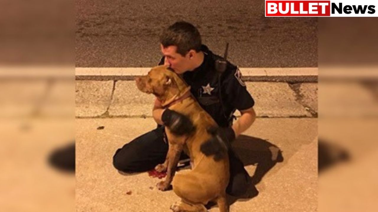 Officer Refuses To Leave 2 Scared Pit Bulls Side